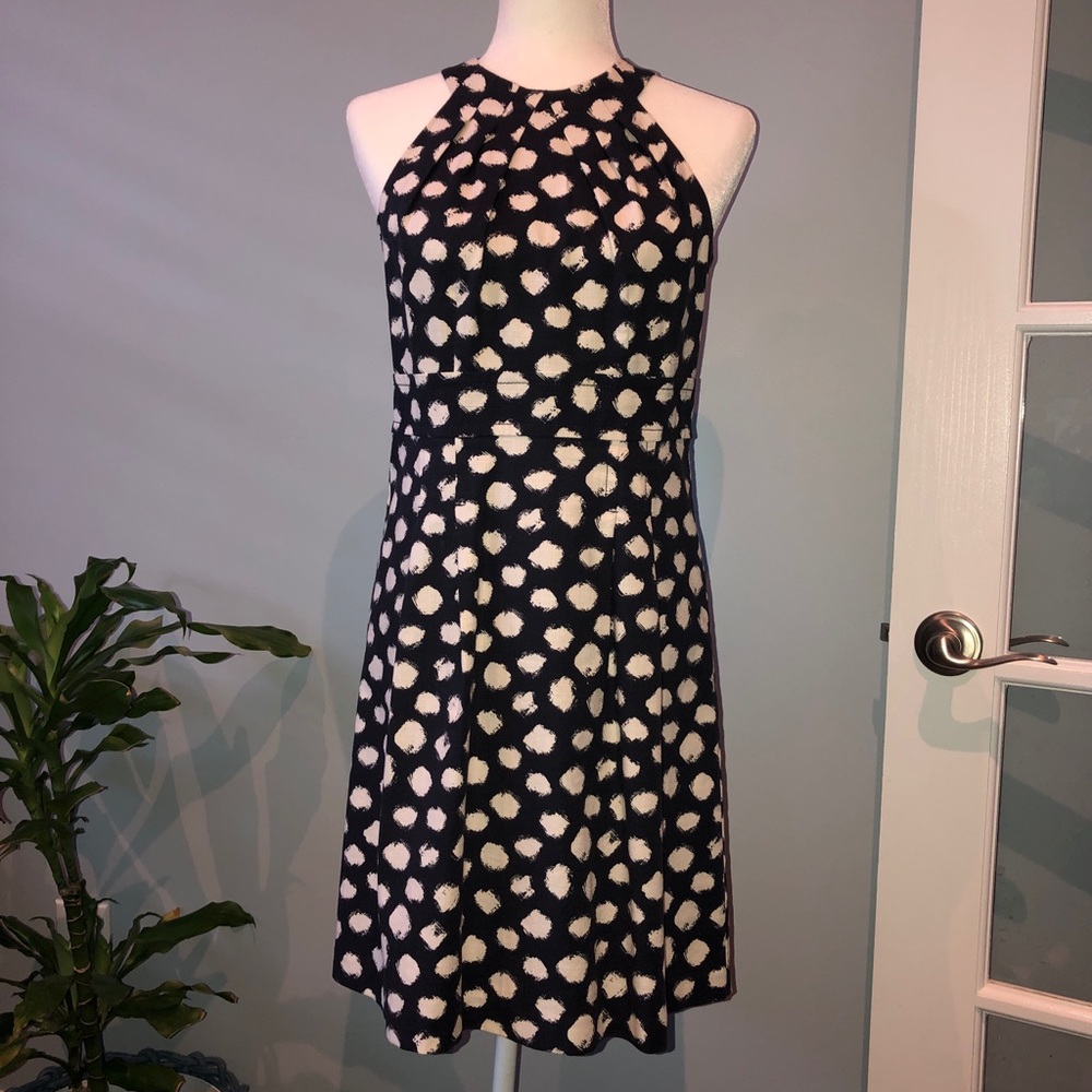 LOFT navy & white dress